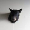 BLACK BEAR SHOULDER MOUNT