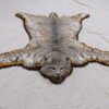 BOBCAT TAXIDERMY RUG