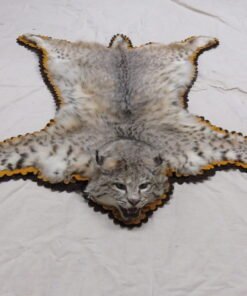 BOBCAT TAXIDERMY RUG