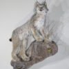 LYNX LIFE SIZED