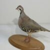 CHUKAR MOUNT ON WOOD