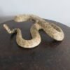RATTLESNAKE REAL-SKIN