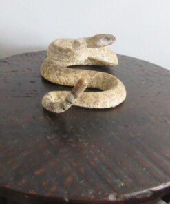 RATTLESNAKE REAL-SKIN