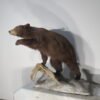 LIFE-SIZED BLACK BEAR