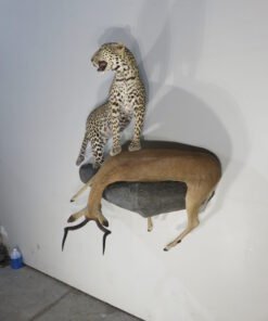 LEOPARD & IMPALA