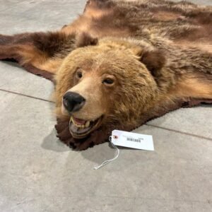 Taxidermy