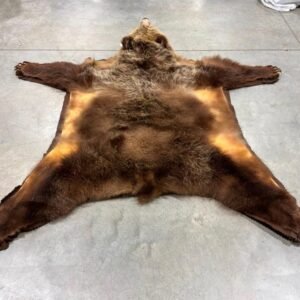 Taxidermy