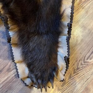 Taxidermy Taxidermy