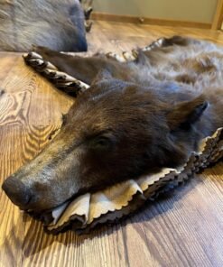 Taxidermy