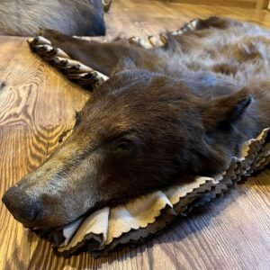 Taxidermy