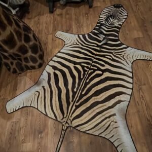 Taxidermy Taxidermy